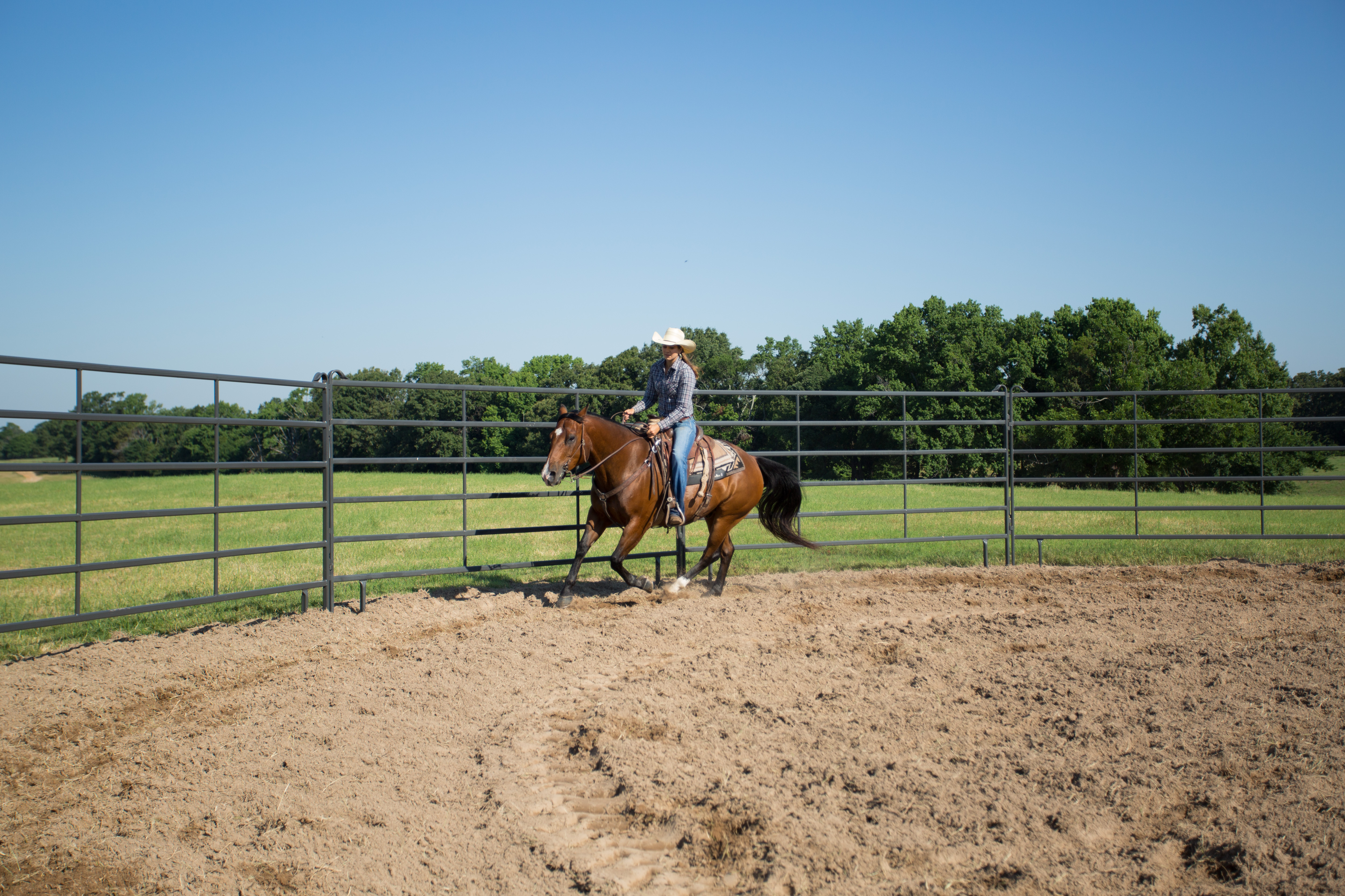 Premier Tall Round Pen PPT50 71.jpg